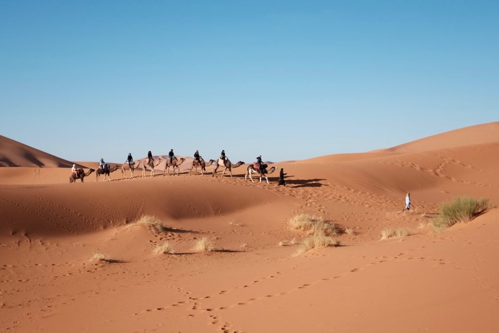 désert marocain