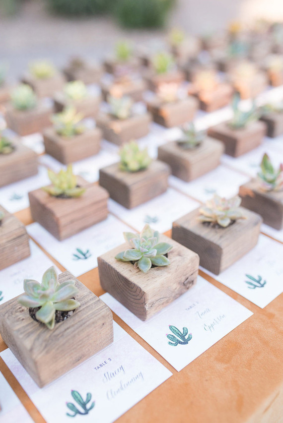 des succulentes ou plantes grasses pour gâter ses proches le jour de son mariage
