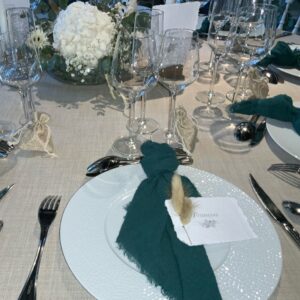 Location-serviette-vert-emeraude