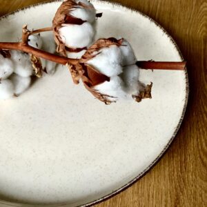 Assiette en grès location événementielle