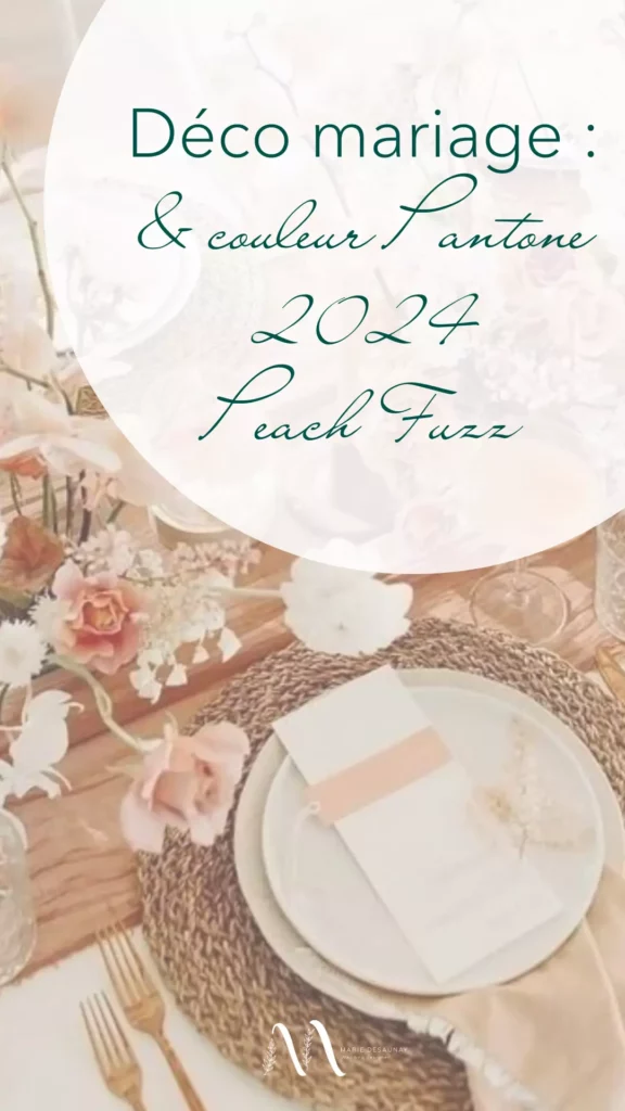 Couleur Pantone 2024 Peach Fuzz