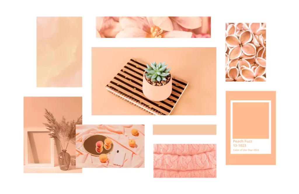 couleur Pantone 2024 