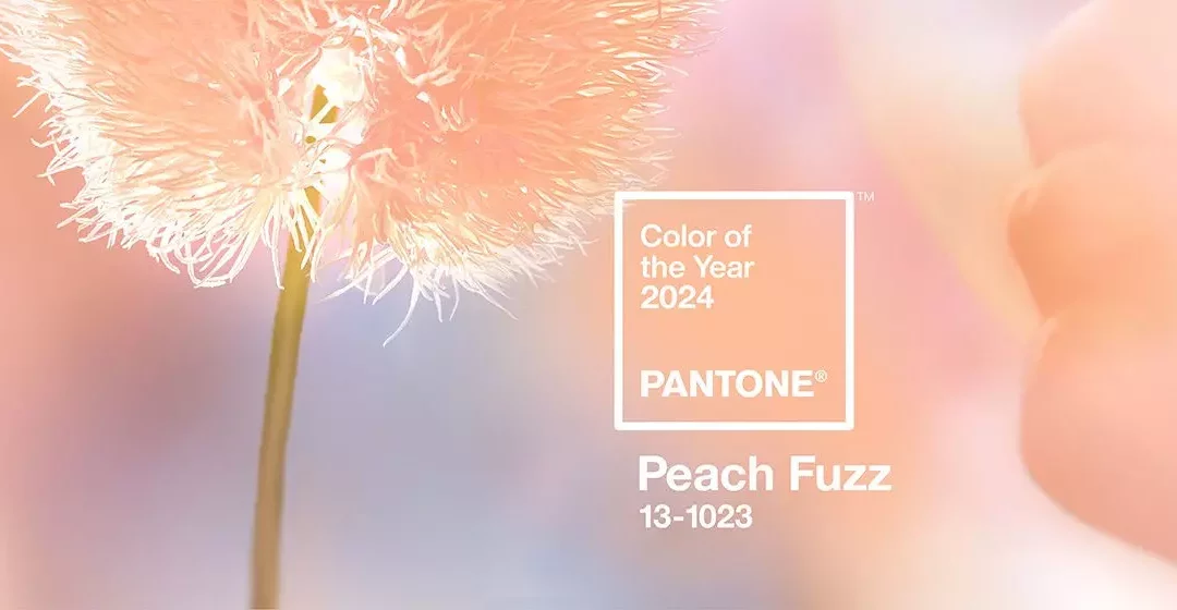Couleur Pantone 2024 Peach Fuzz : comment l’utiliser dans la déco de votre mariage ?