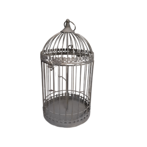 Location cage à oiseaux déco