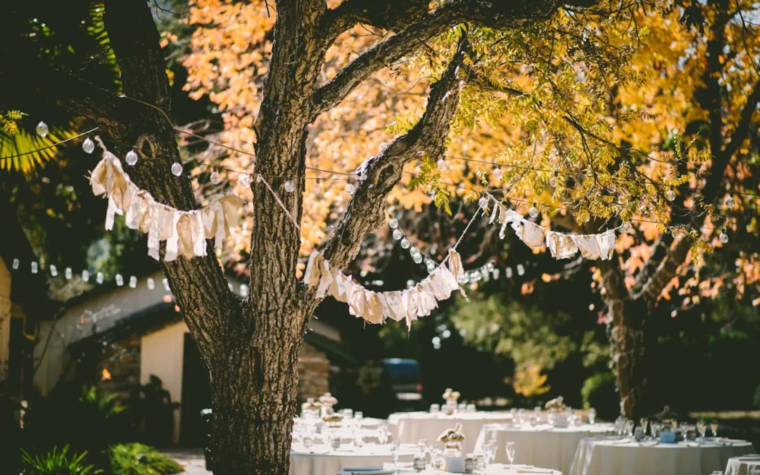 9 idées de décoration mariage à petits budgets qui peuvent faire toute la différence.