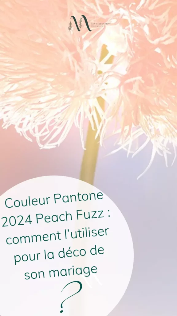 Couleur Pantone 2024 Peach Fuzz