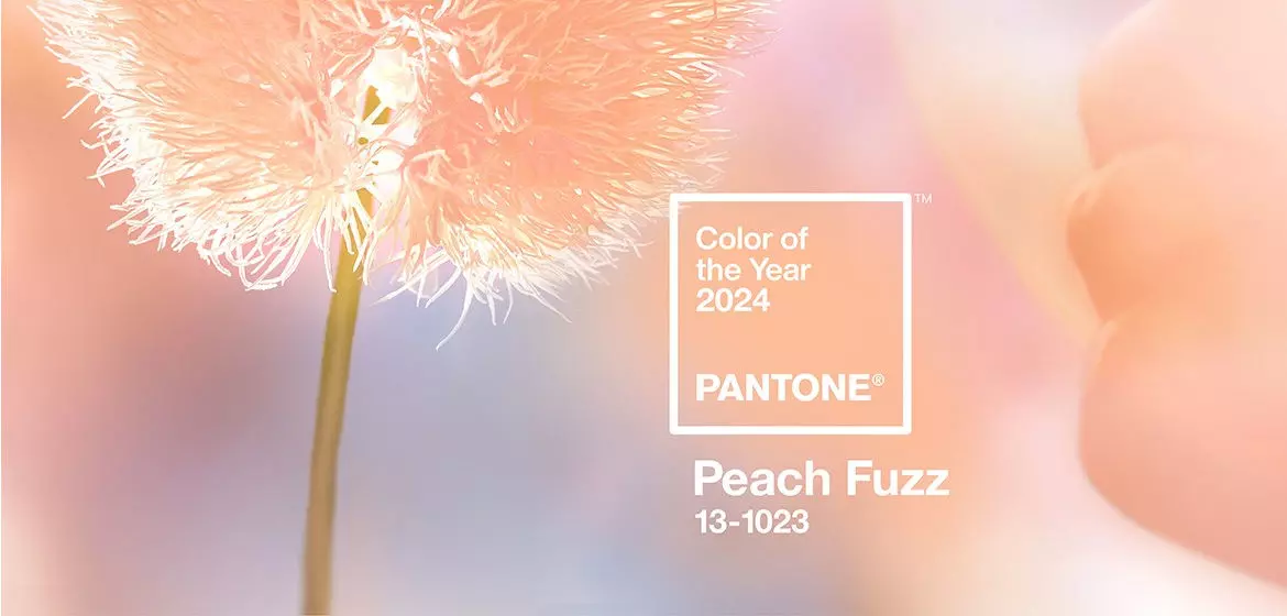 Couleur Pantone 2024 Peach Fuzz