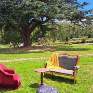 Couverture jaune en laine Robin, parfaite pour ajouter une touche de couleur et de confort à votre mariage ou événement.